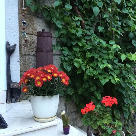 Kayezta 2* Алачати