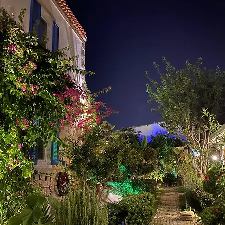 Отель Kayezta 2*