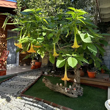 Kayezta Hotel Alaçatı