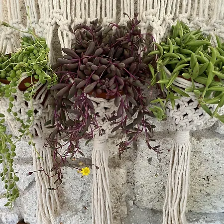 Kayezta Ξενοδοχείο 2*