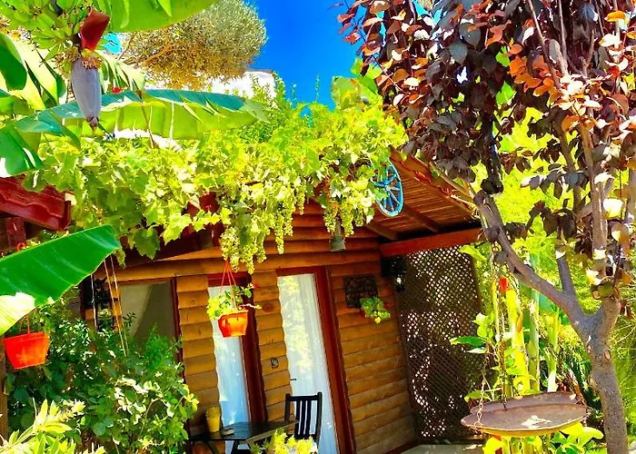 Ξενοδοχείο Kayezta