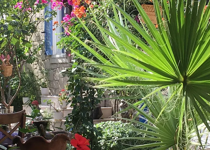 Ξενοδοχείο Kayezta