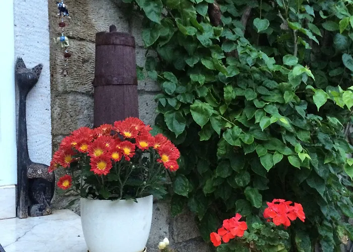 Kayezta 2* Αλακάτι