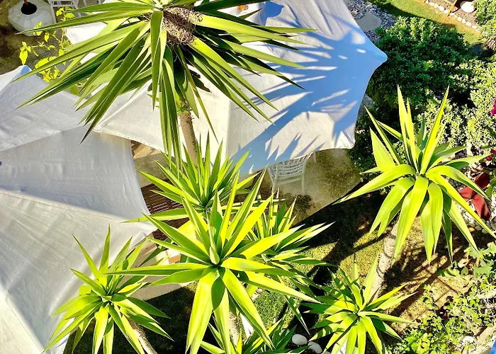 Ξενοδοχείο Kayezta 2*