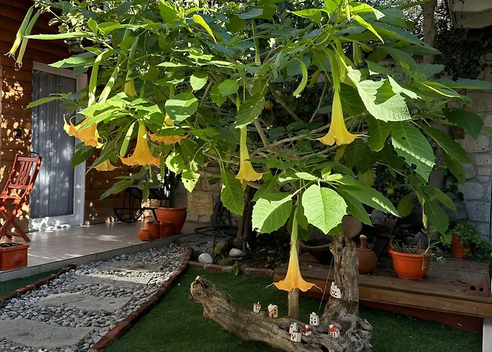 Kayezta Hotel Alaçatı