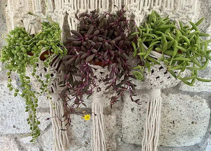 Kayezta Ξενοδοχείο 2*